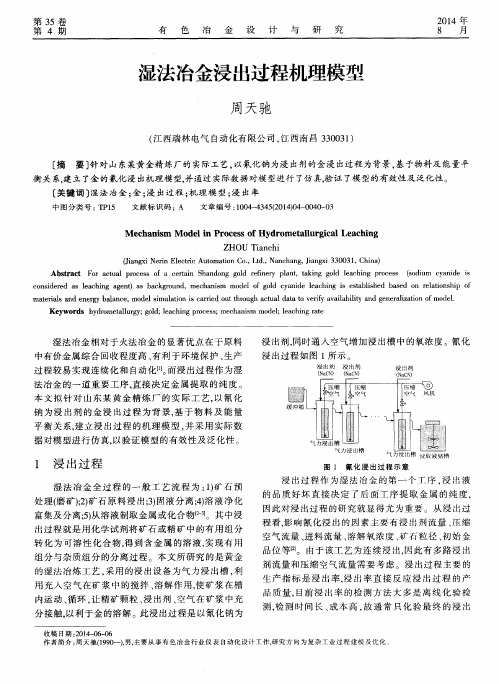 湿法冶金浸出过程机理模型