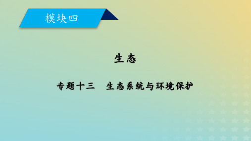 高考生物大二轮复习专题十三生态系统与环境保护课件