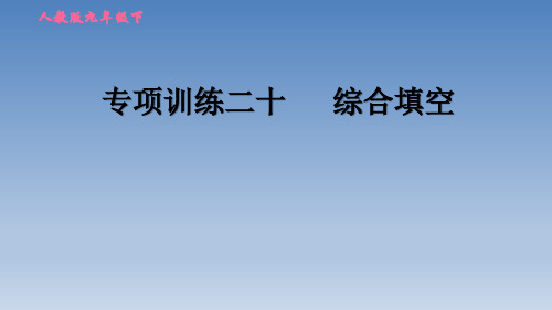 2020春人教版九年级英语下册  专项训练20 综合填空
