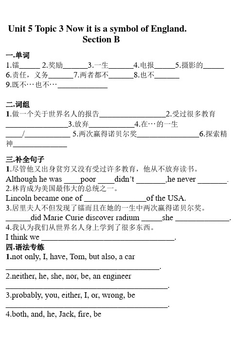 2020仁爱版九年级下 Unit 5 Topic 3 Now it is a symbol of E
