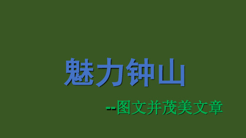 四年级上册信息技术课件第12课 图文并茂美文章_浙江摄影版 (共9张PPT)