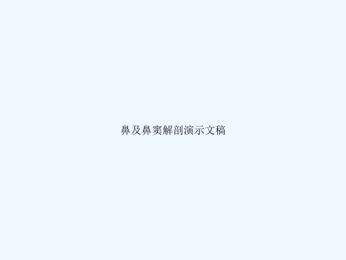 鼻及鼻窦解剖演示文稿