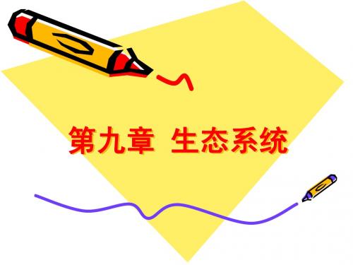 9第九章 生态系统
