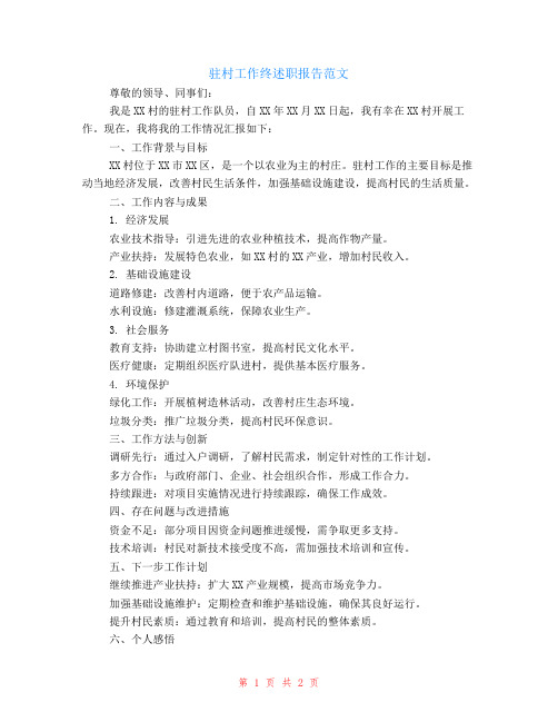 驻村工作终述职报告范文