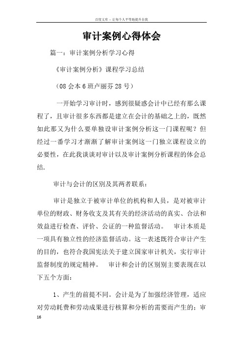 审计案例心得体会