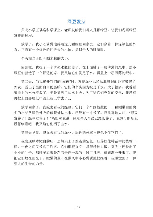 科学小论文  绿豆发芽