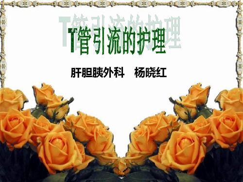 T管引流的护理
