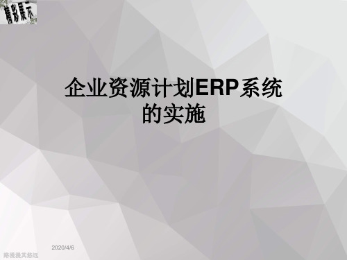 企业资源计划ERP系统的实施