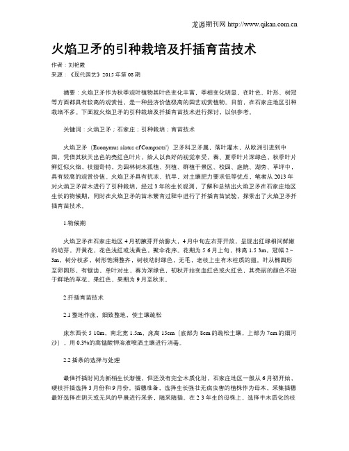 火焰卫矛的引种栽培及扦插育苗技术