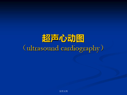 心脏超声诊断