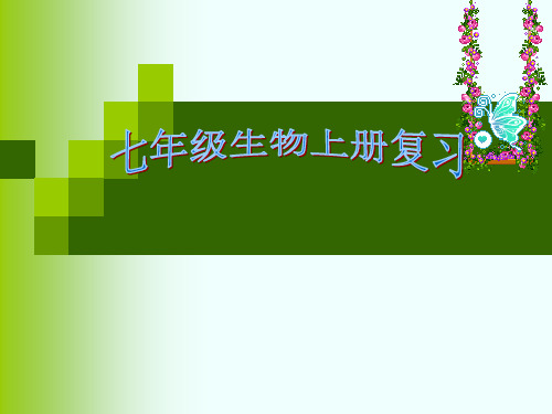 济南版七年级生物上册期末复习课件