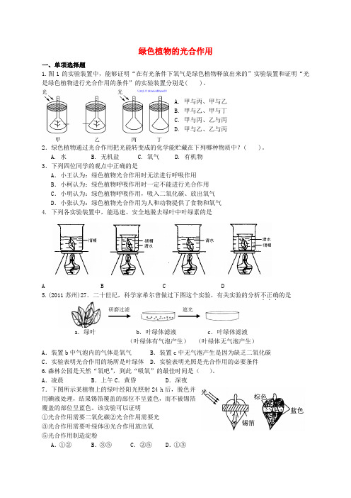 七年级生物上册 绿色植物的光合作用测试题 人教新课标版