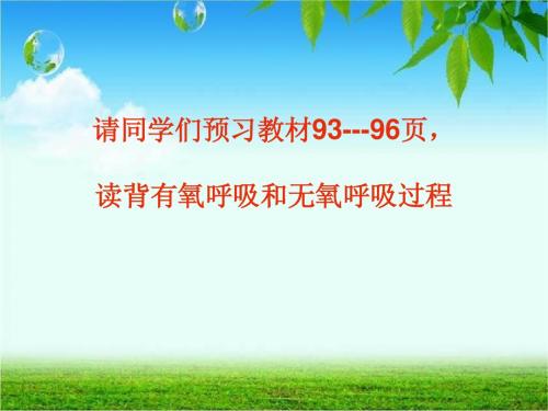 细胞呼吸2.PPT