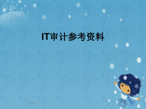 IT审计参考资料