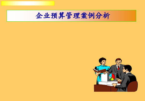 企业预算管理案例分析 ppt课件
