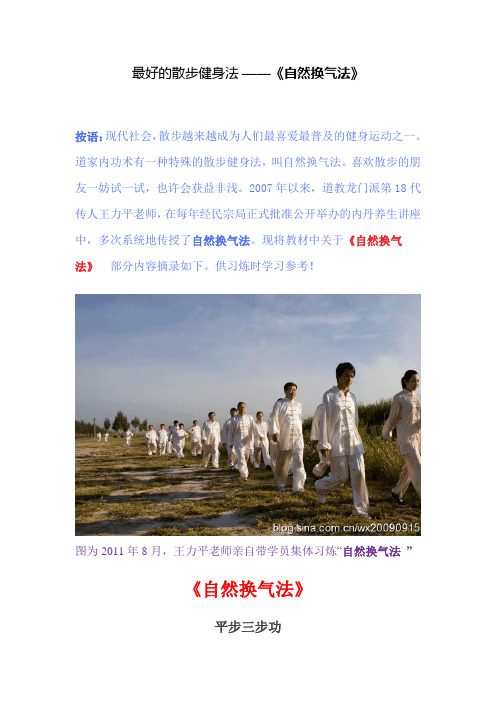 最好的散步健身法综述