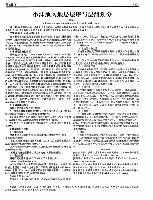 小洼地区地层层序与层组划分