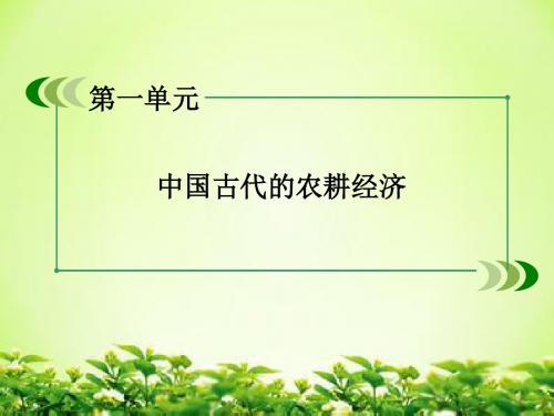 高中历史 第5课农耕时代的商业与城市课件 岳麓版必修2