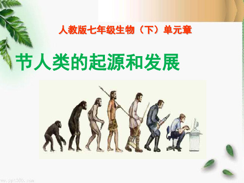 《人类的起源和发展》人的由来PPT课件4