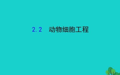 高考生物一轮复习专题2细胞工程2动物细胞工程课件新人教选修3