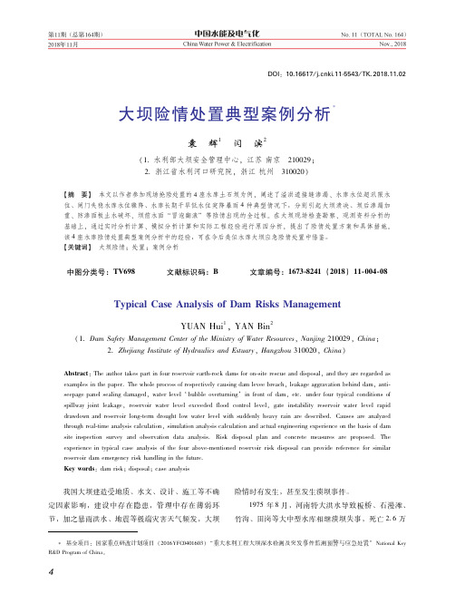 大坝险情处置典型案例分析