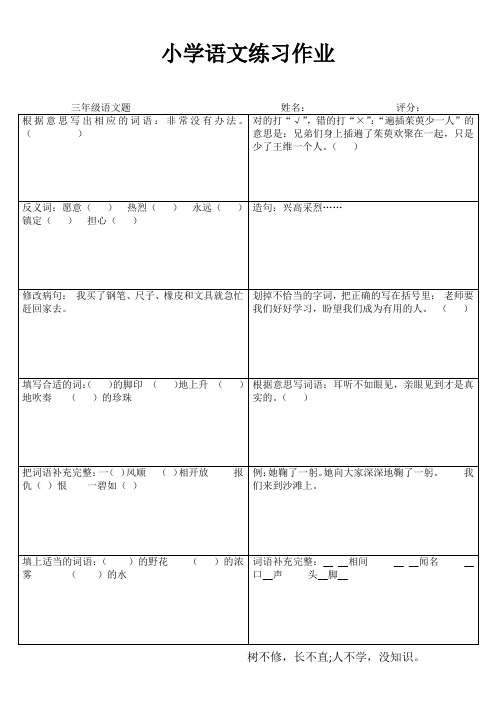三年级小学语文练习作业 (19)