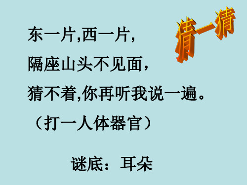 四年级上册科学课件- 3.7 保护我们的听力｜教科版 (共21张PPT)