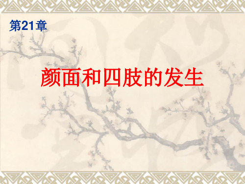 组织学与胚胎学 第21章 颜面和四肢的发生