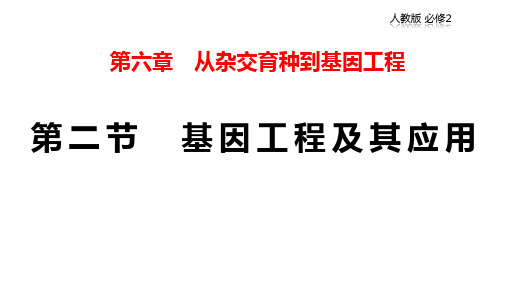 人教版高中生物必修2 6.2 基因工程及其应用 课件(1)
