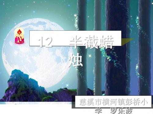 《半截蜡烛》课件全面版