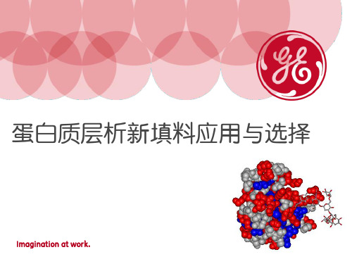 蛋白质层析新填料应用与选择 