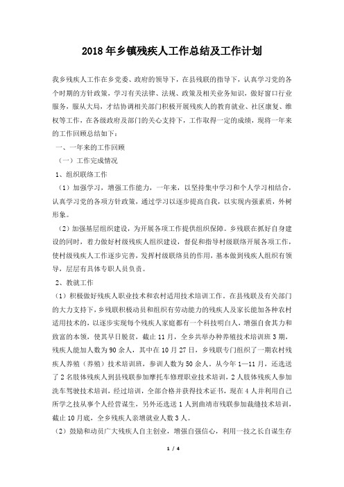 乡镇残疾人工作总结及工作计划