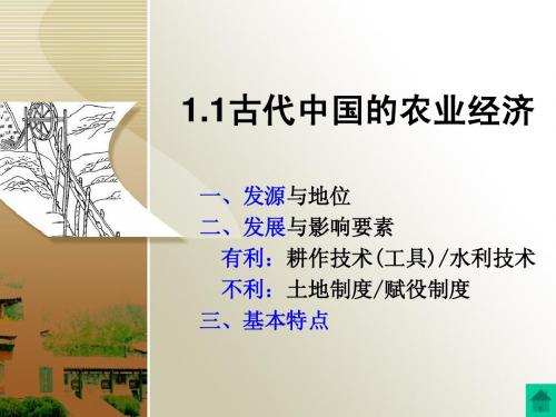 古代中国的农业经济