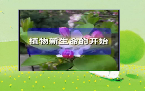 种植我们的植物PPT幻灯片PPT