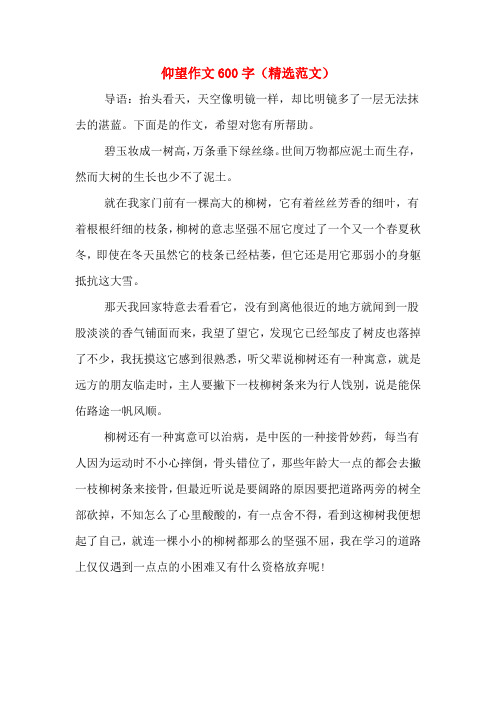 仰望作文600字(精选范文)