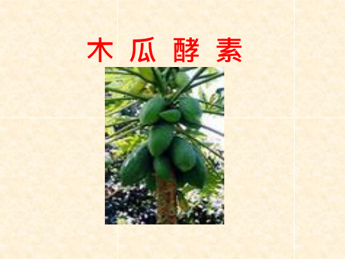 木瓜酵素