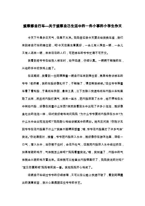 观察修自行车—关于观察自己生活中的一件小事的小学生作文_六年级叙事作文