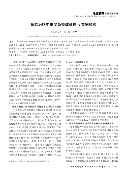 张翥治疗中重度免疫球蛋白a肾病经验
