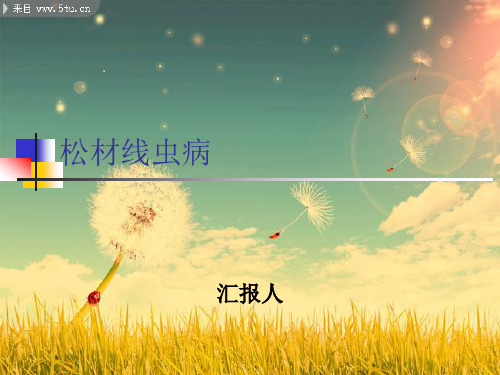 松材线虫病