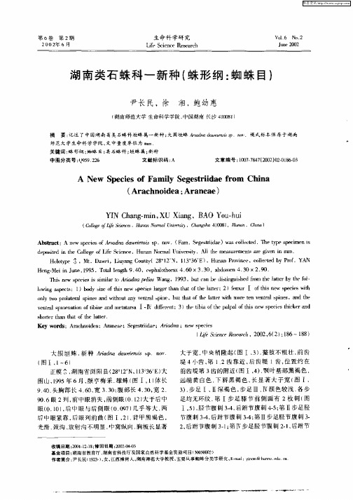 湖南类石蛛科一新种(蛛形纲：蜘蛛目)