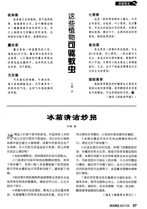 这些植物可驱蚊虫
