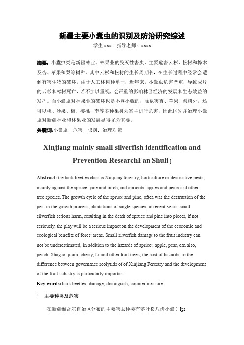 文献综述