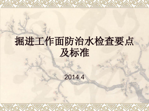 掘进工作面防治水检查要点及标准
