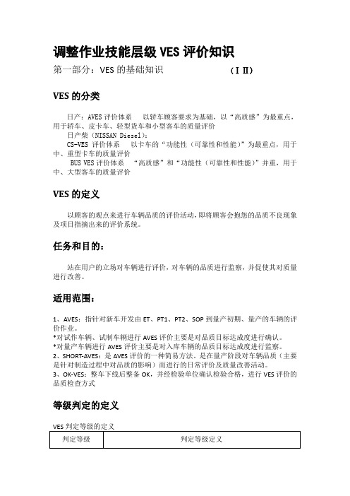 VES评价知识