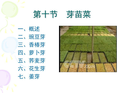 第十节 芽苗菜