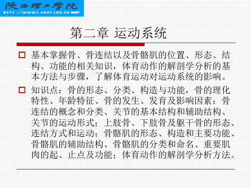 运动解剖学第2次课