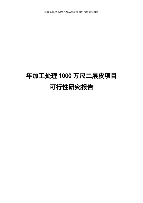 年加工处理1000万尺二层皮项目可行性研究报告