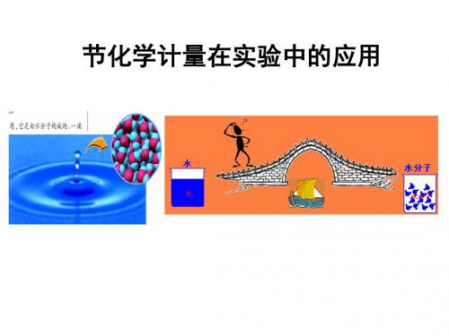 化学计量在实验中的应用PPT课件51