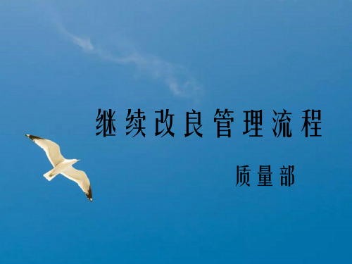 持续改进管理流程ppt课件