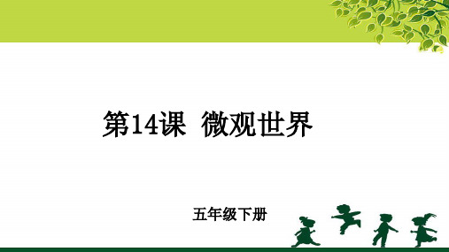 《微观世界》示范公开课教学PPT课件【小学五年级美术下册】